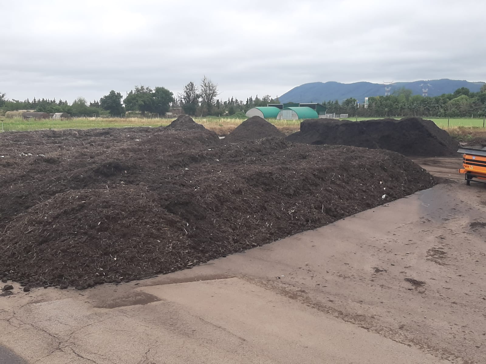 foto montaña de compost