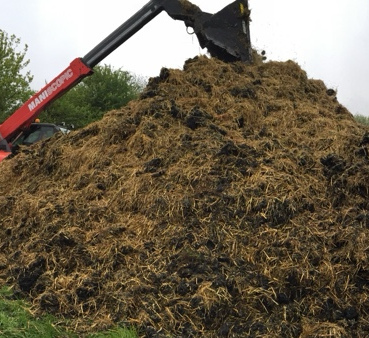 foro grua compost